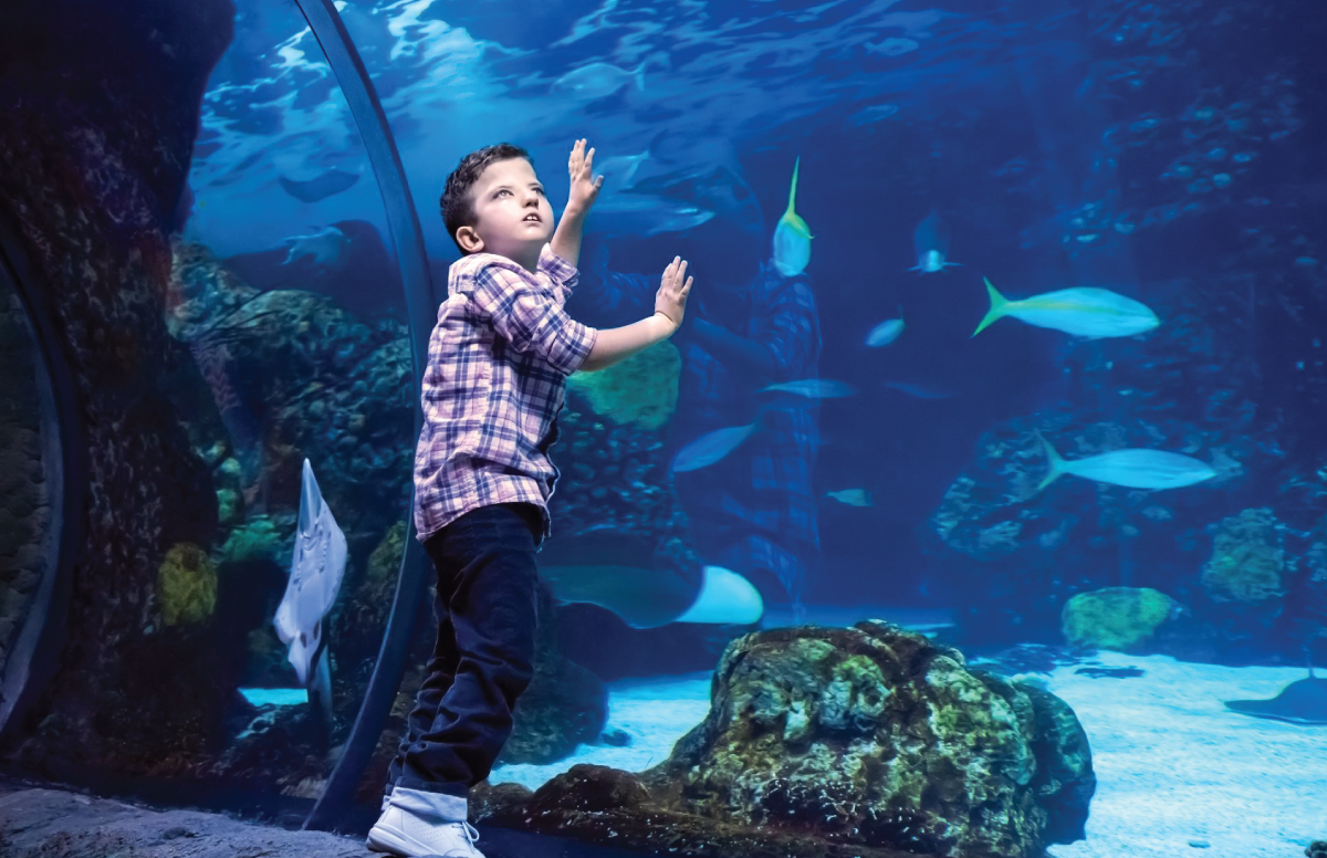 Kid in an aquarium