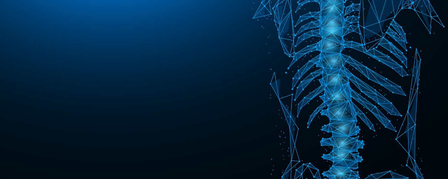 Posterior Thoracolumbar Fixation spinal rendering