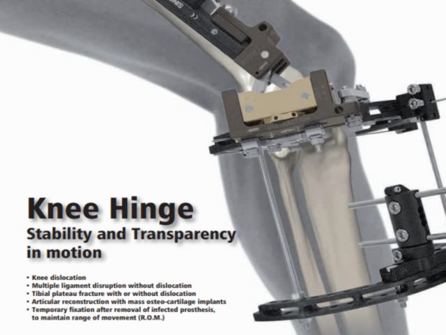 knee hinge in silhouette of leg
