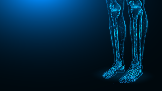 Trauma & Post-traumatic Reconstruction lower leg rendering