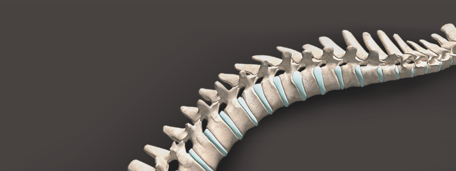 Spinal Medical Devices Orthofix