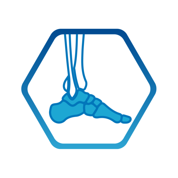 Foot icon