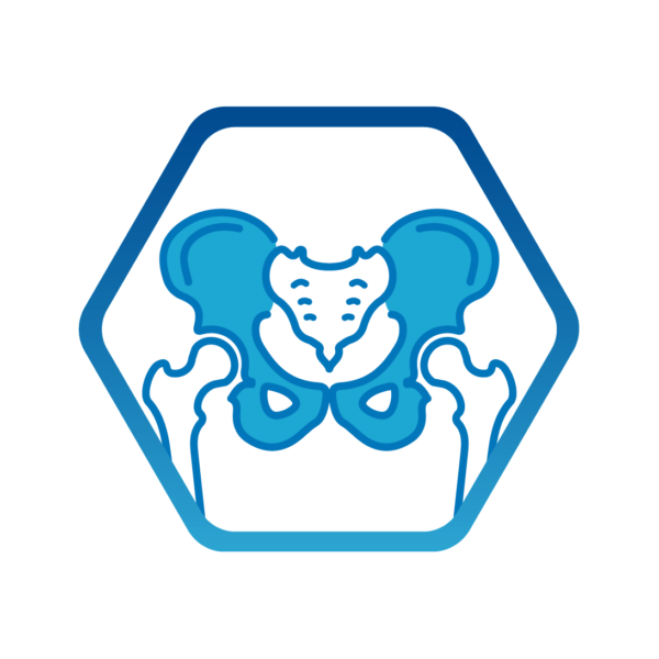 Pelvis Icon